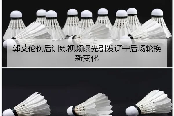 img_1788774161592_1054_0_621.jpg（XINGCAISPORTS）
